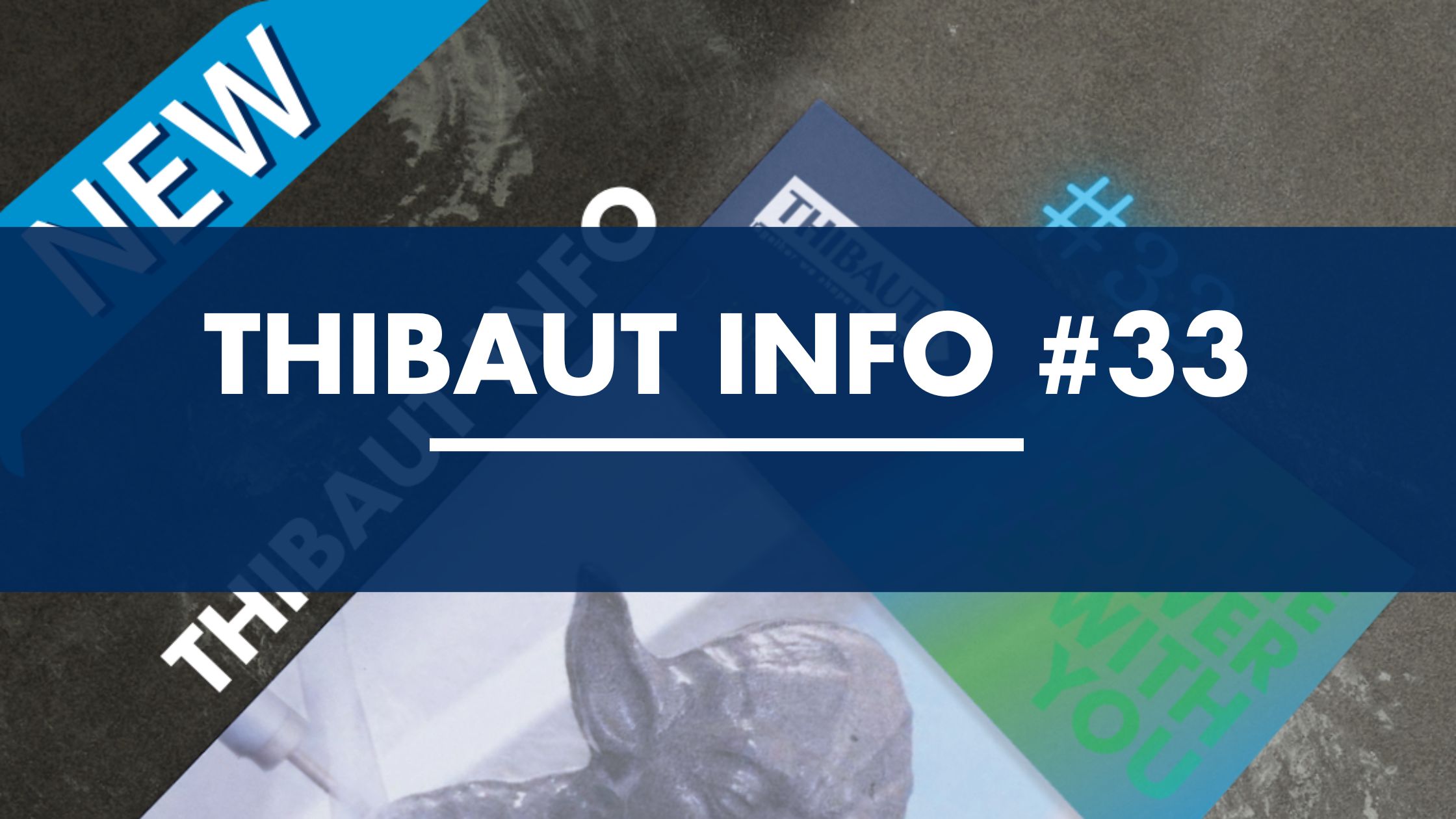 Discover the Thibaut Info #33 brochure: The Evolution of Excellence